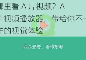 哪里看 A 片视频？A 片视频播放器，带给你不一样的视觉体验