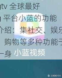 gtv 全球最好 g 平台小蓝的功能介绍：集社交、娱乐、购物等多种功能于一身