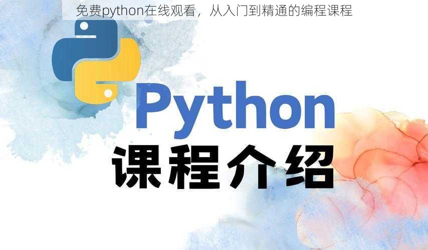 免费python在线观看，从入门到精通的编程课程