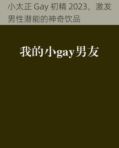 小太正 Gay 初精 2023，激发男性潜能的神奇饮品