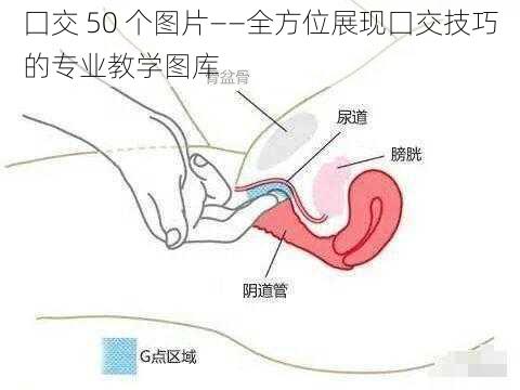 囗交 50 个图片——全方位展现囗交技巧的专业教学图库