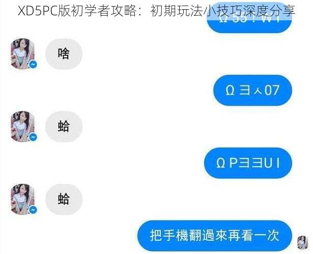 XD5PC版初学者攻略：初期玩法小技巧深度分享