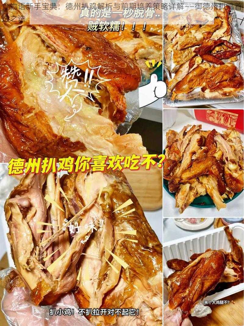 食物语新手宝典：德州扒鸡解析与前期培养策略详解——御德州扒鸡首选之选