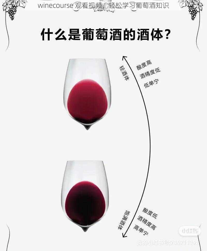 winecourse 观看视频，轻松学习葡萄酒知识