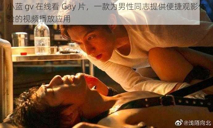 小蓝 gv 在线看 Gay 片，一款为男性同志提供便捷观影体验的视频播放应用