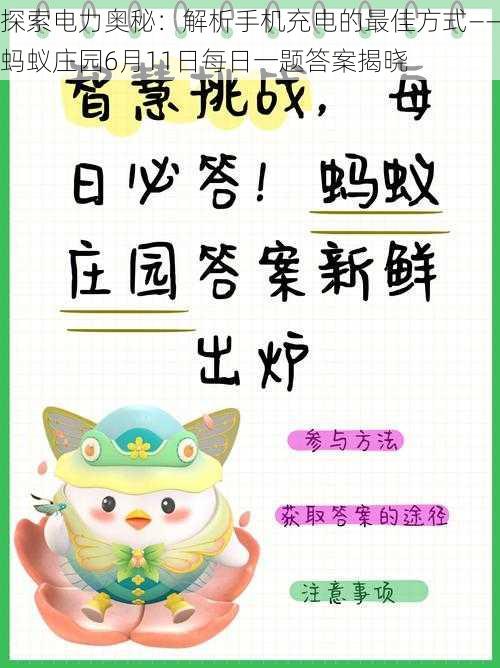 探索电力奥秘：解析手机充电的最佳方式——蚂蚁庄园6月11日每日一题答案揭晓