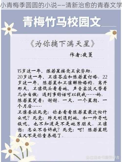 小青梅季圆圆的小说——清新治愈的青春文学