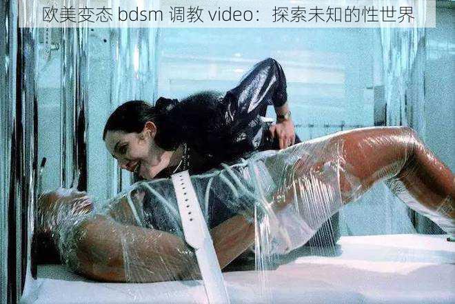 欧美变态 bdsm 调教 video：探索未知的性世界