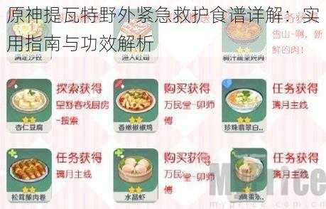 原神提瓦特野外紧急救护食谱详解：实用指南与功效解析