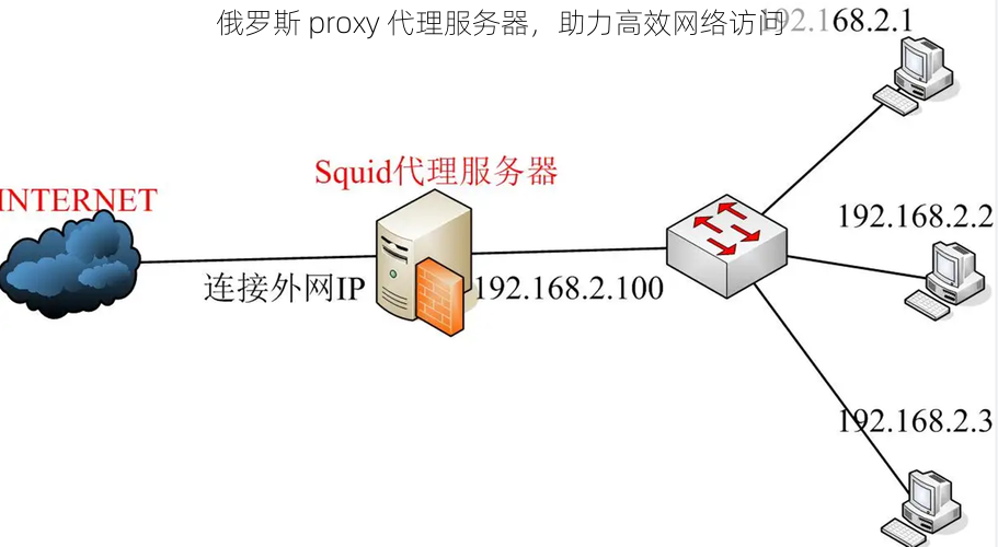 俄罗斯 proxy 代理服务器，助力高效网络访问