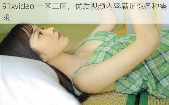 91xvideo 一区二区，优质视频内容满足你各种需求