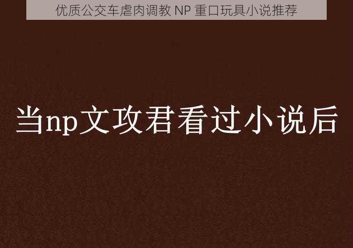 优质公交车虐肉调教 NP 重口玩具小说推荐