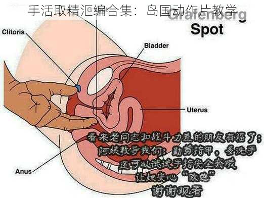 手活取精汇编合集：岛国动作片教学