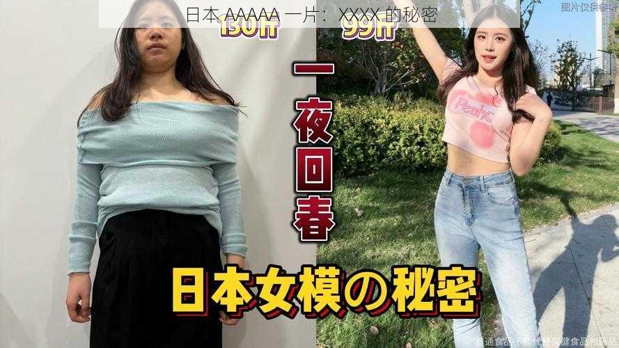 日本 AAAAA 一片：XXXX 的秘密