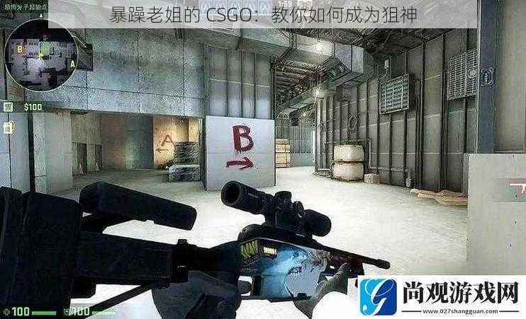 暴躁老姐的 CSGO：教你如何成为狙神