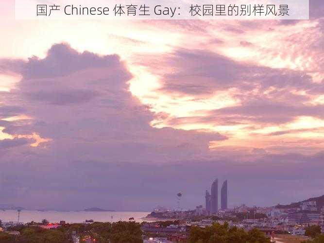 国产 Chinese 体育生 Gay：校园里的别样风景