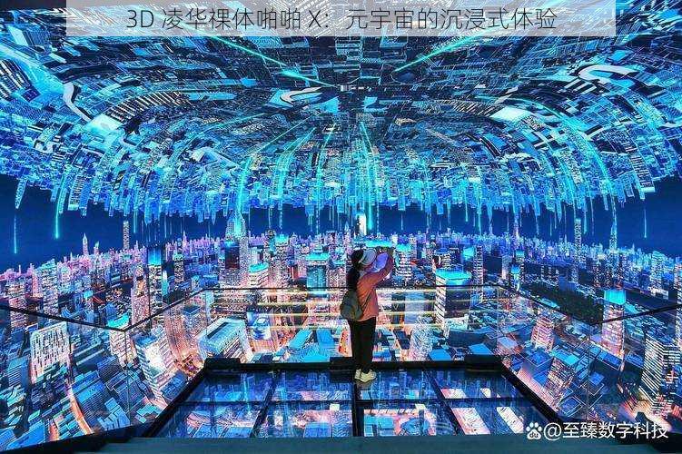 3D 凌华祼体啪啪 X：元宇宙的沉浸式体验