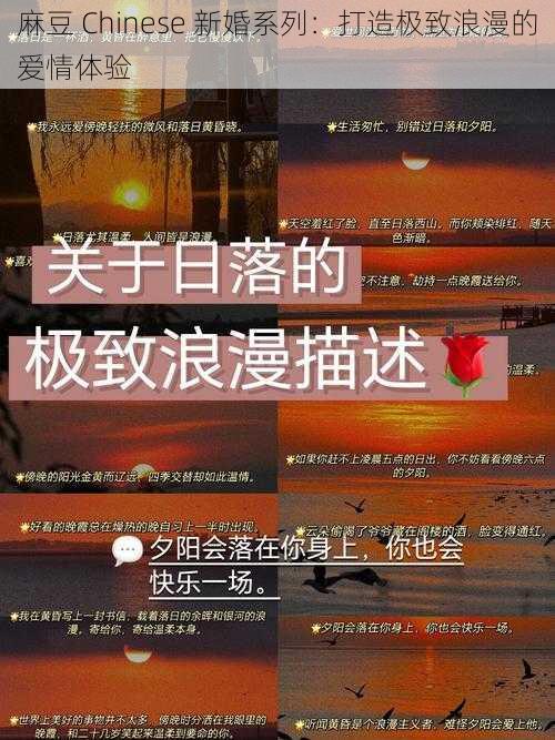 麻豆 Chinese 新婚系列：打造极致浪漫的爱情体验