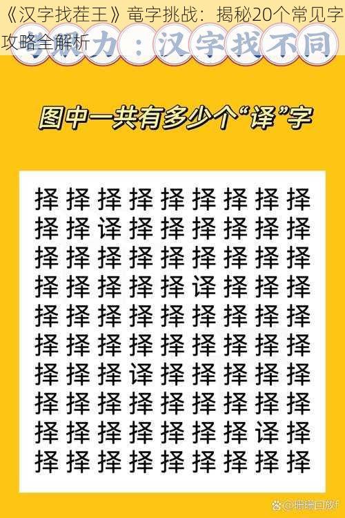 《汉字找茬王》竜字挑战：揭秘20个常见字攻略全解析