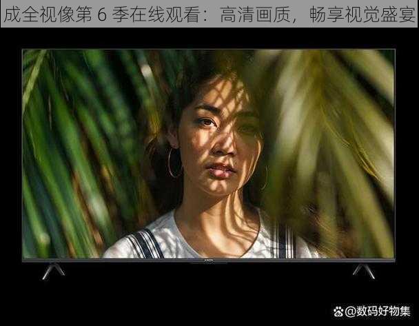 成全视像第 6 季在线观看：高清画质，畅享视觉盛宴