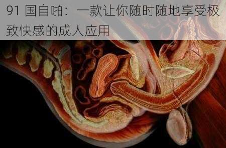 91 国自啪：一款让你随时随地享受极致快感的成人应用