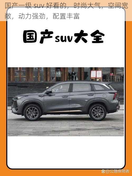 国产一级 suv 好看的，时尚大气，空间宽敞，动力强劲，配置丰富