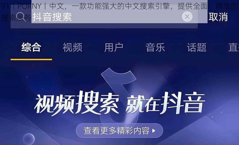 91丨PORNY丨中文，一款功能强大的中文搜索引擎，提供全面、精准的搜索服务