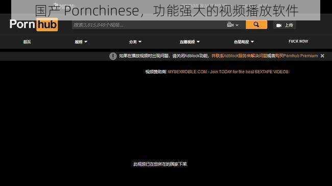 国产 Pornchinese，功能强大的视频播放软件