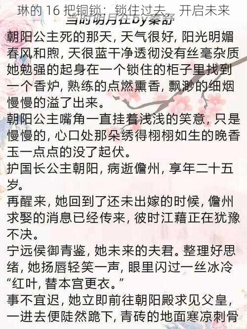 琳的 16 把铜锁：锁住过去，开启未来