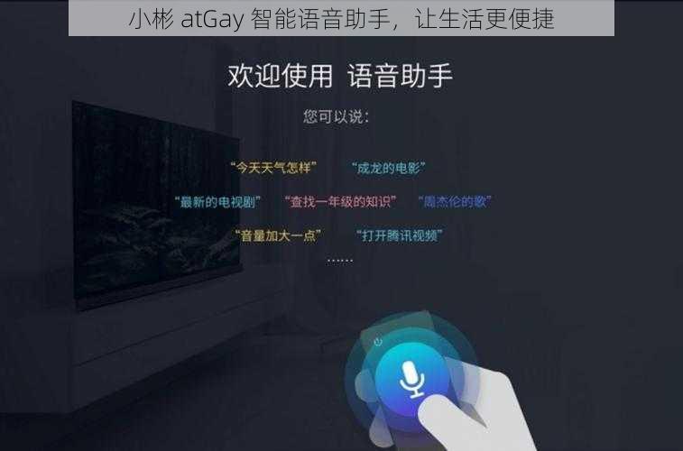 小彬 atGay 智能语音助手，让生活更便捷