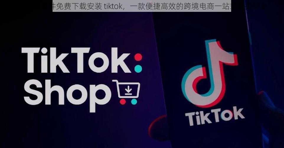 日批发软件免费下载安装 tiktok，一款便捷高效的跨境电商一站式服务平台