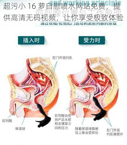 超污小 16 萝自慰喷水网站免费，提供高清无码视频，让你享受极致体验