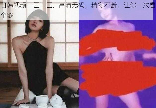 日韩视频一区二区，高清无码，精彩不断，让你一次看个够