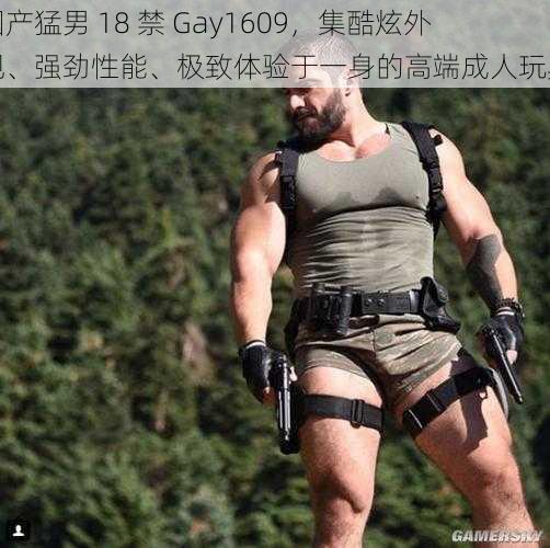 国产猛男 18 禁 Gay1609，集酷炫外观、强劲性能、极致体验于一身的高端成人玩具