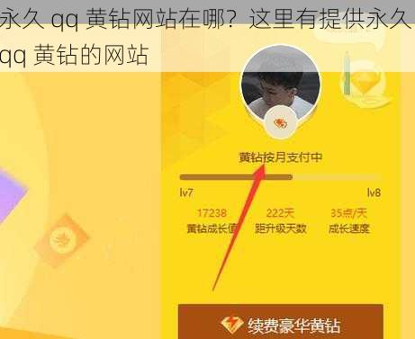 永久 qq 黄钻网站在哪？这里有提供永久 qq 黄钻的网站