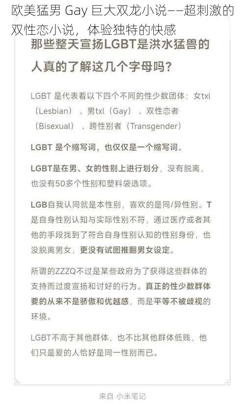 欧美猛男 Gay 巨大双龙小说——超刺激的双性恋小说，体验独特的快感