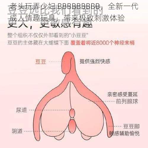 老头玩弄少妇 BBBBBBBBB，全新一代成人情趣玩具，带来极致刺激体验