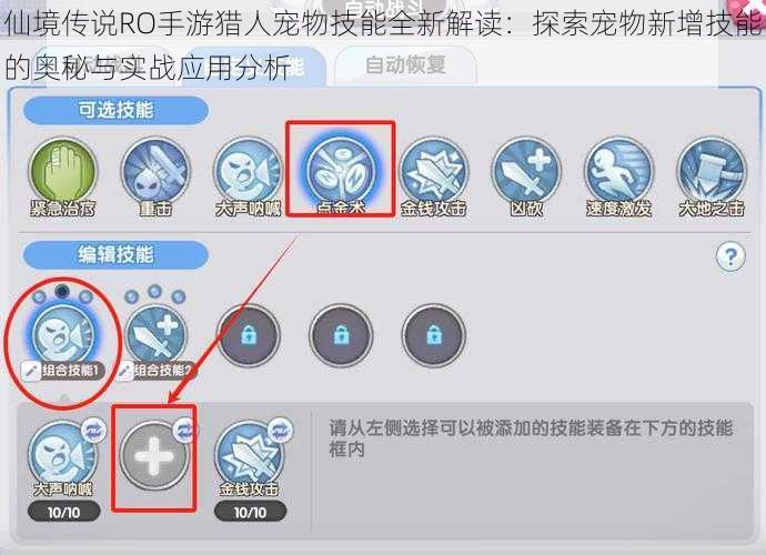 仙境传说RO手游猎人宠物技能全新解读：探索宠物新增技能的奥秘与实战应用分析