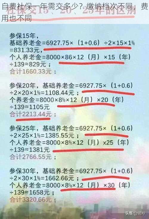 自费社保一年需交多少？缴纳档次不同，费用也不同