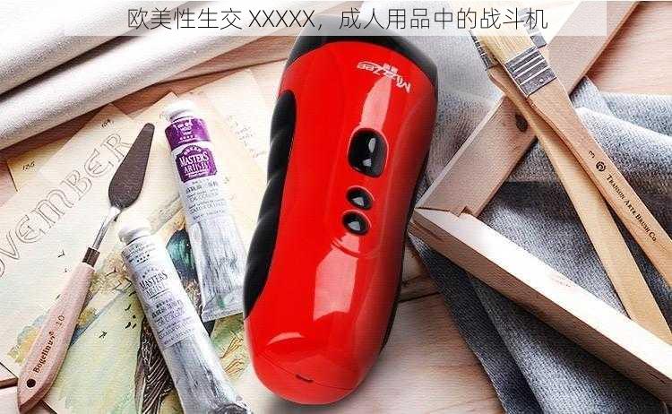 欧美性生交 XXXXX，成人用品中的战斗机