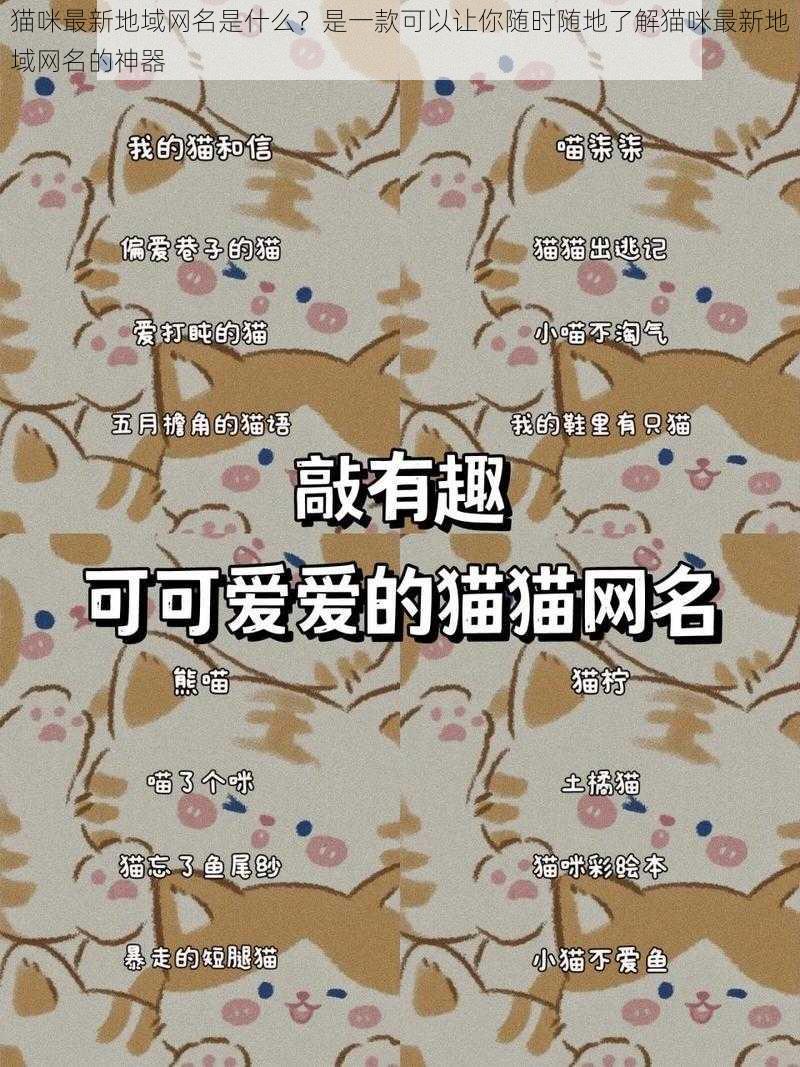 猫咪最新地域网名是什么？是一款可以让你随时随地了解猫咪最新地域网名的神器