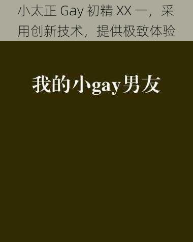 小太正 Gay 初精 XX 一，采用创新技术，提供极致体验