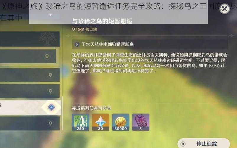 《原神之旅》珍稀之鸟的短暂邂逅任务完全攻略：探秘鸟之王国度，尽在其中