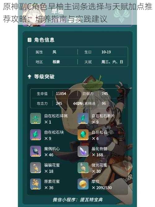 原神副C角色早柚主词条选择与天赋加点推荐攻略：培养指南与实践建议