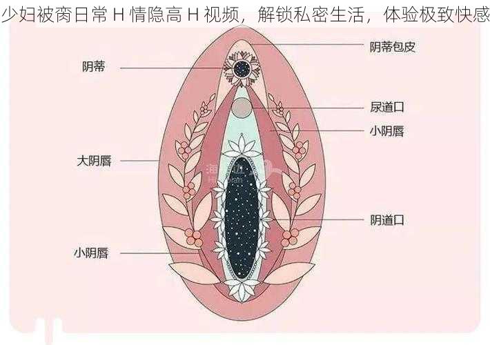 少妇被脔日常 H 情隐高 H 视频，解锁私密生活，体验极致快感