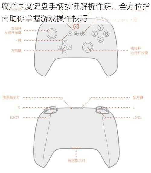 腐烂国度键盘手柄按键解析详解：全方位指南助你掌握游戏操作技巧