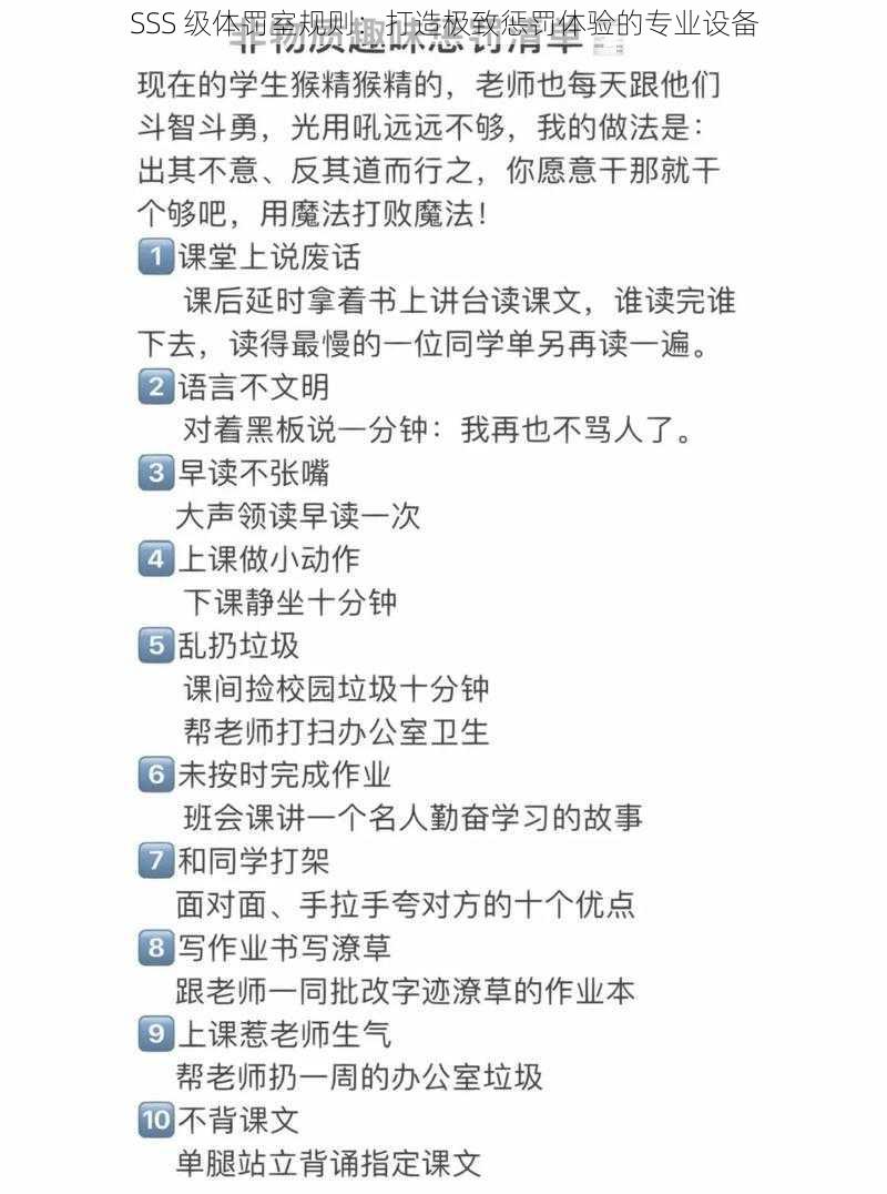 SSS 级体罚室规则：打造极致惩罚体验的专业设备