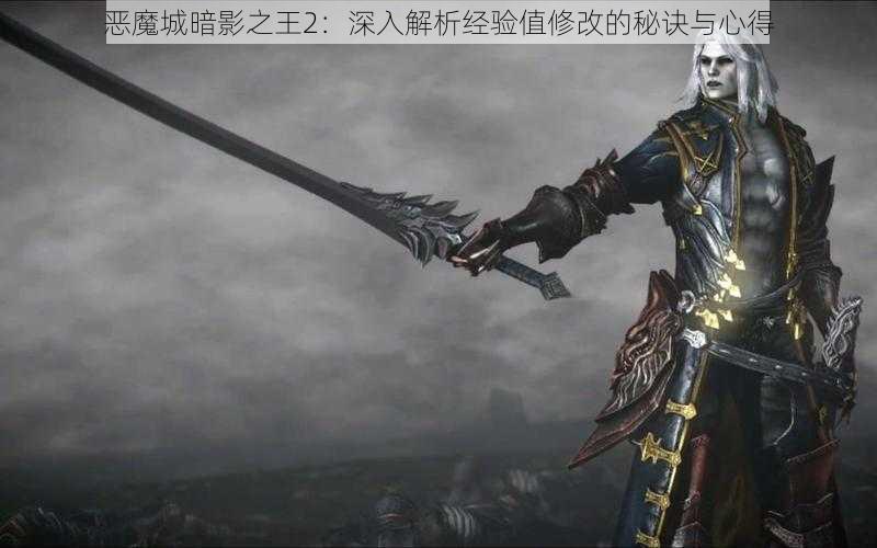 恶魔城暗影之王2：深入解析经验值修改的秘诀与心得