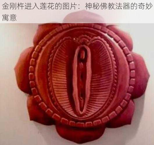 金刚杵进入莲花的图片：神秘佛教法器的奇妙寓意