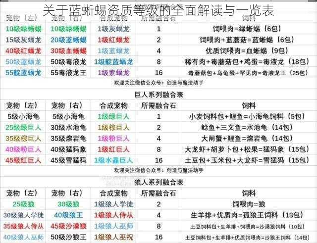 关于蓝蜥蜴资质等级的全面解读与一览表